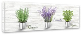 Tablou Styler Canvas Shabby Herbs, 27 x 75 cm
