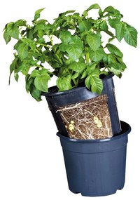 Ghiveci pentru cartofi Esschert Design, ø 30,2 cm