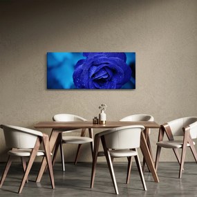 Tablou cu trandafir albastru (120x50 cm)