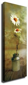 Tablou pe pânză Daisy, 30 x 80 cm