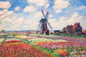 Reproducere Tulip Fields with the Rijnsburg Windmill, 1886, Claude Monet