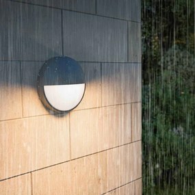 Philips - Aplica de perete pentru exterior CAPRICORN LED/4,3W/230V IP44