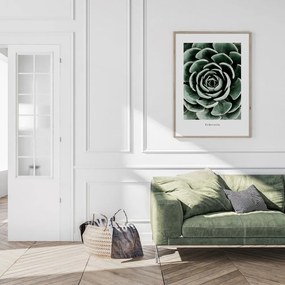 Poster cu ramă 50x70 cm Echeveria – Styler