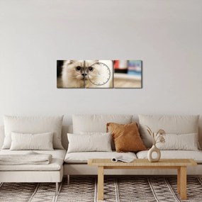 Tablou cu pisica albăr (cu ceas) (90x30 cm)