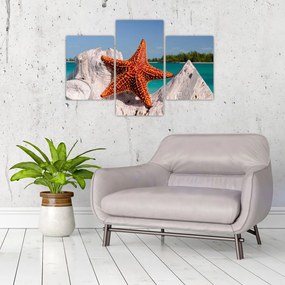 Tablou cu stea de mare (90x60 cm)