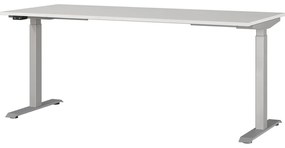 Birou reglabil cu înălțime ajustabilă electric 80x180 cm Agenda – Germania