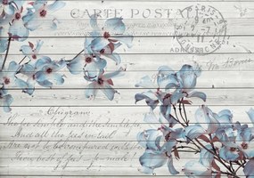 Fototapet - Vintage (254x184 cm)