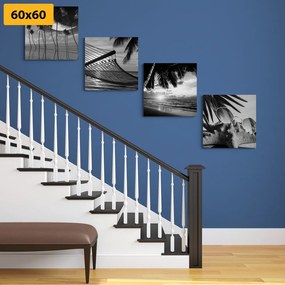 Set tablouri natura moartă a mării în design alb-negru