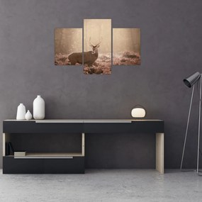 Tablou - Cerb în pădure (90x60 cm)