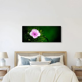 Tablou cu floare roz (120x50 cm)