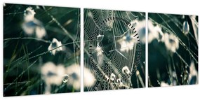 Tablou - Pânză de păianjen (cu ceas) (90x30 cm)