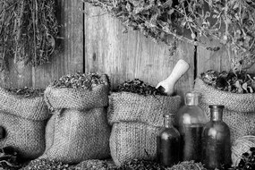 Tablou plante medicinale în design alb-negru