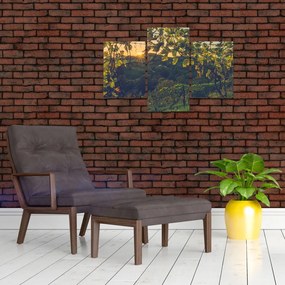 Tablou - Podgorii (90x60 cm)