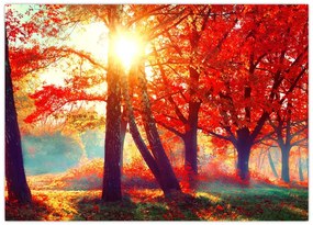 Tablou pe sticlă - Peisaj de toamnă (70x50 cm)