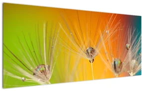 Tablou cu picături pe plantă (120x50 cm), în 40 de alte dimensiuni noi