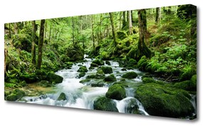 Tablou pe panza canvas Lake Forest Stones Natura Brun Verde Alb