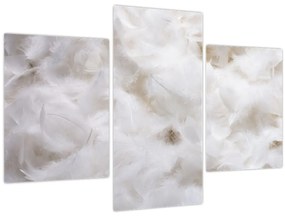 Tablou - Pene albe (90x60 cm)