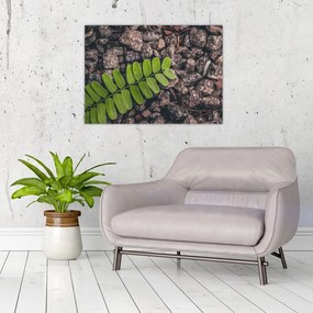 Tablou pe sticlă cu planta verde (70x50 cm)
