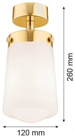 Lustră aplicată PASADENA 1xE27/15W/230V aurie/albă Argon 8005