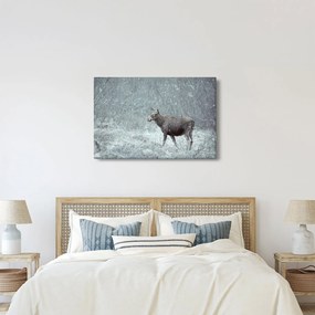 Tablou - Elan într-o pădure înzăpezită (90x60 cm)