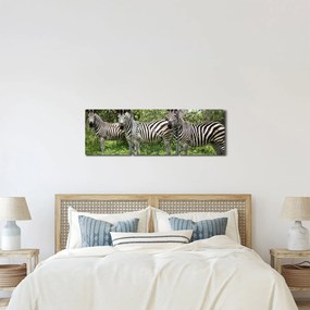 Tablou cu zebre (cu ceas) (90x30 cm)