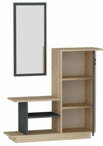 Cuier Hol Asia, Stejar / Antracit