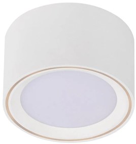Spot LED aplicat Fallon alb 4-Step MOODMAKER 47540101 NL