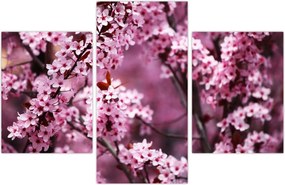Tablou - Sakura roz (90x60 cm)