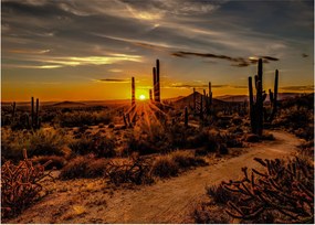 Tablou pe sticlă - Sfărșit de zi în deșertul Arizona (70x50 cm)