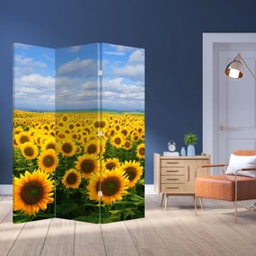 Paravan - Lan de floarea soarelui (126x170 cm)