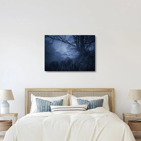 Tabloul pădurii întunecate (70x50 cm)