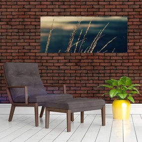 Tablou cu ierburi (120x50 cm)