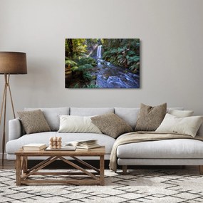 Tablou cu pădurea ploilor din Austalia (90x60 cm)