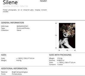 Tablou de perete decorativ Silene, 100x150cm