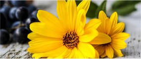 Tablou cu floare galbenă (120x50 cm)