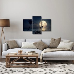 Tablou - Plaja cu lună plină (90x60 cm)