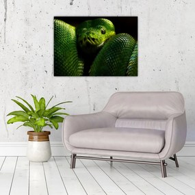 Tablou - Șarpele verde (70x50 cm)