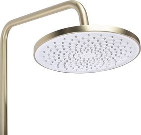 Set dus Rea Ontario Brush Gold