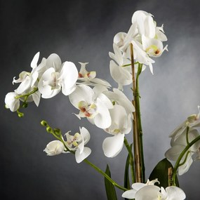 Aranjament floral elegant PLATE PHALENO 1141370.95