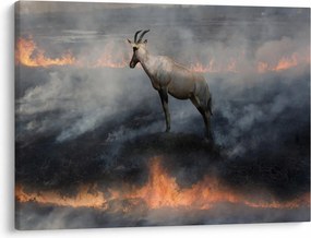 Tablou cu capră de munte în foc (70x50 cm)