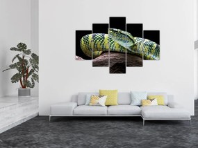 Tablou - Șarpele cu clopoței al lui Wagler (150x105 cm)