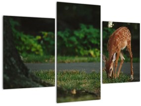 Tablou cu pui de cerb (90x60 cm)
