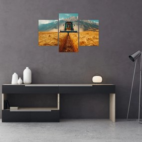 Tablou - Zemedelec (90x60 cm)