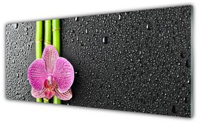 Tablouri acrilice Bamboo Tube floare verde florale roz