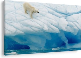 Tablou - Ursul polar (90x60 cm)