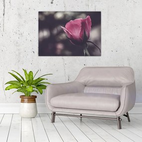 Tablou - Detaliu florii de trandafir (70x50 cm)