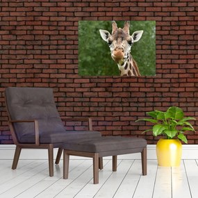 Tablou cu girafa (70x50 cm)
