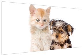 Tablou câine și pisica (120x50 cm), în 40 de alte dimensiuni noi