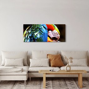 Tablou - Papagal (120x50 cm)
