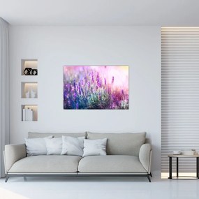 Tablou - Lavandă în strălucirea soarelui (90x60 cm)